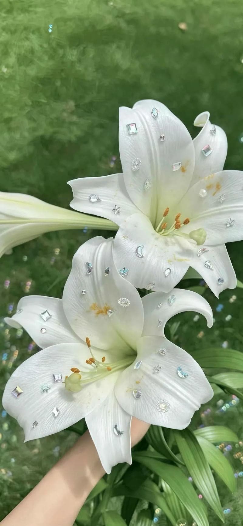 Album hình nền hoa mới