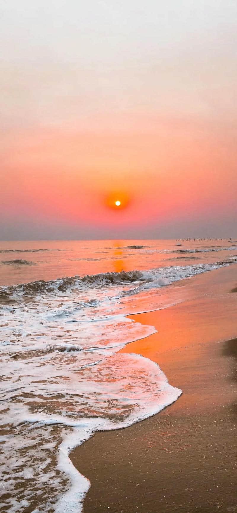 Album hình nền ip 12 mới nhất