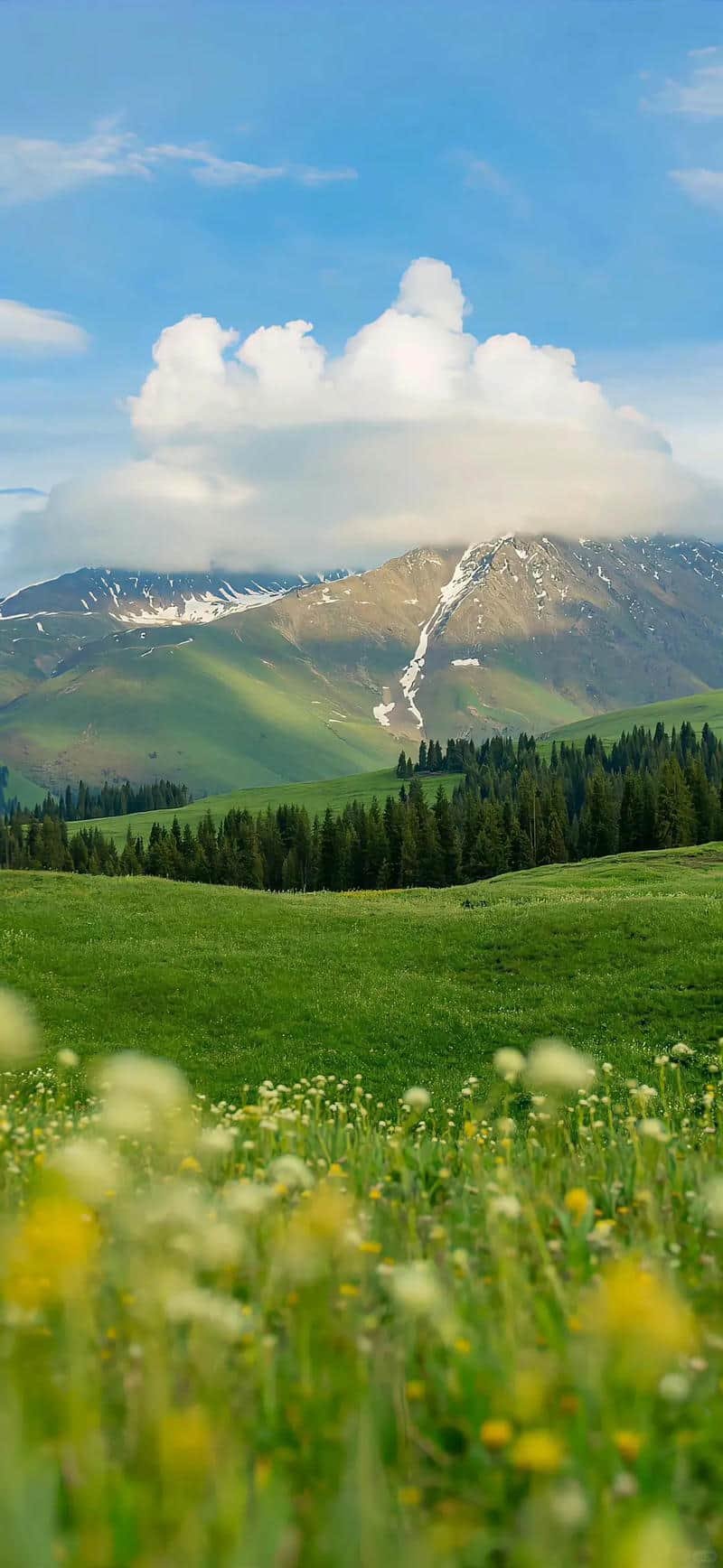 Album hình nền ip 14 độc quyền