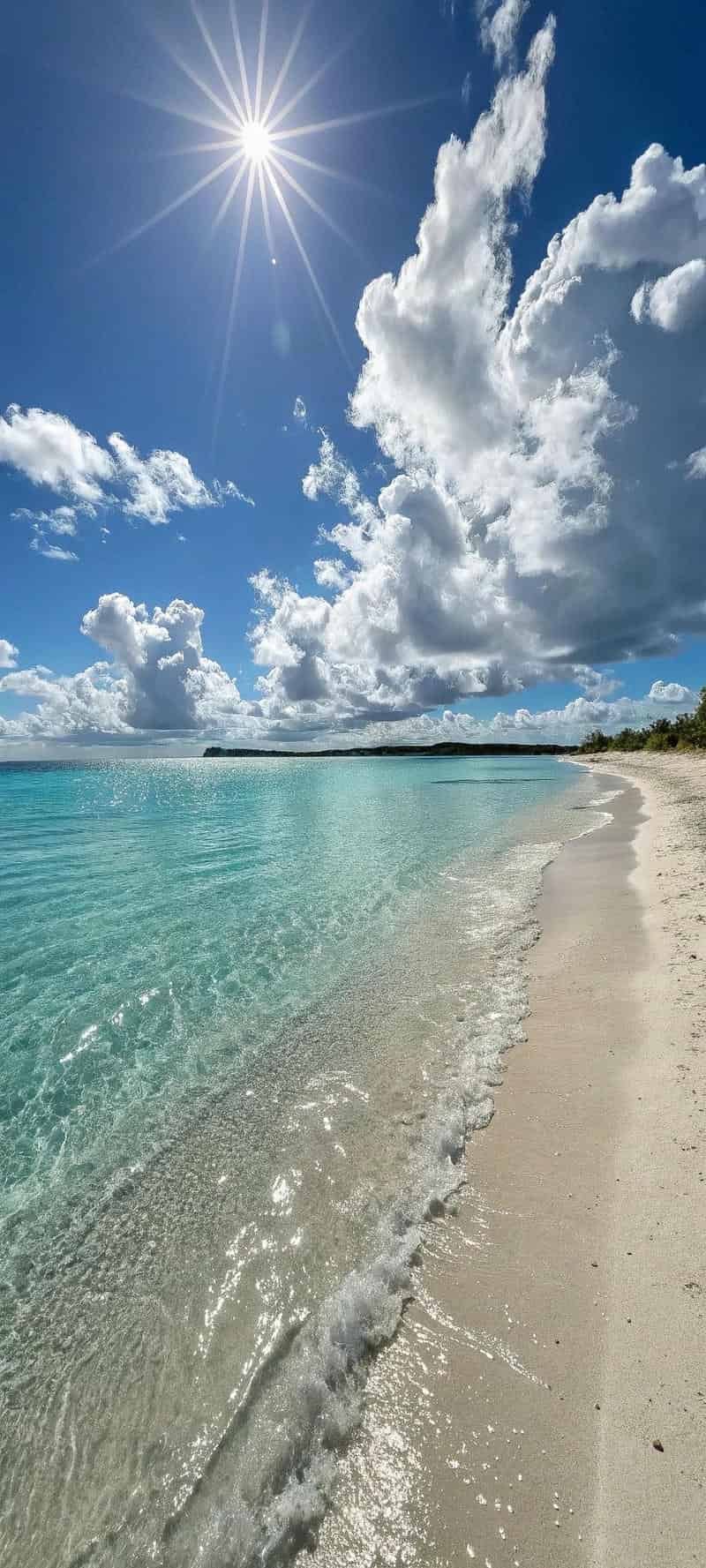 Album hình nền ip 14 mới nhất