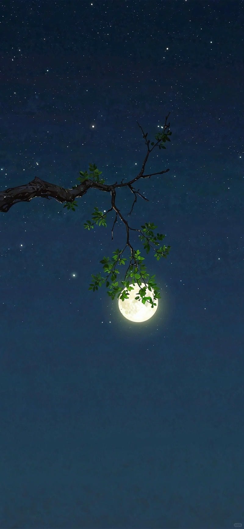 Album hình nền trăng mới nhất
