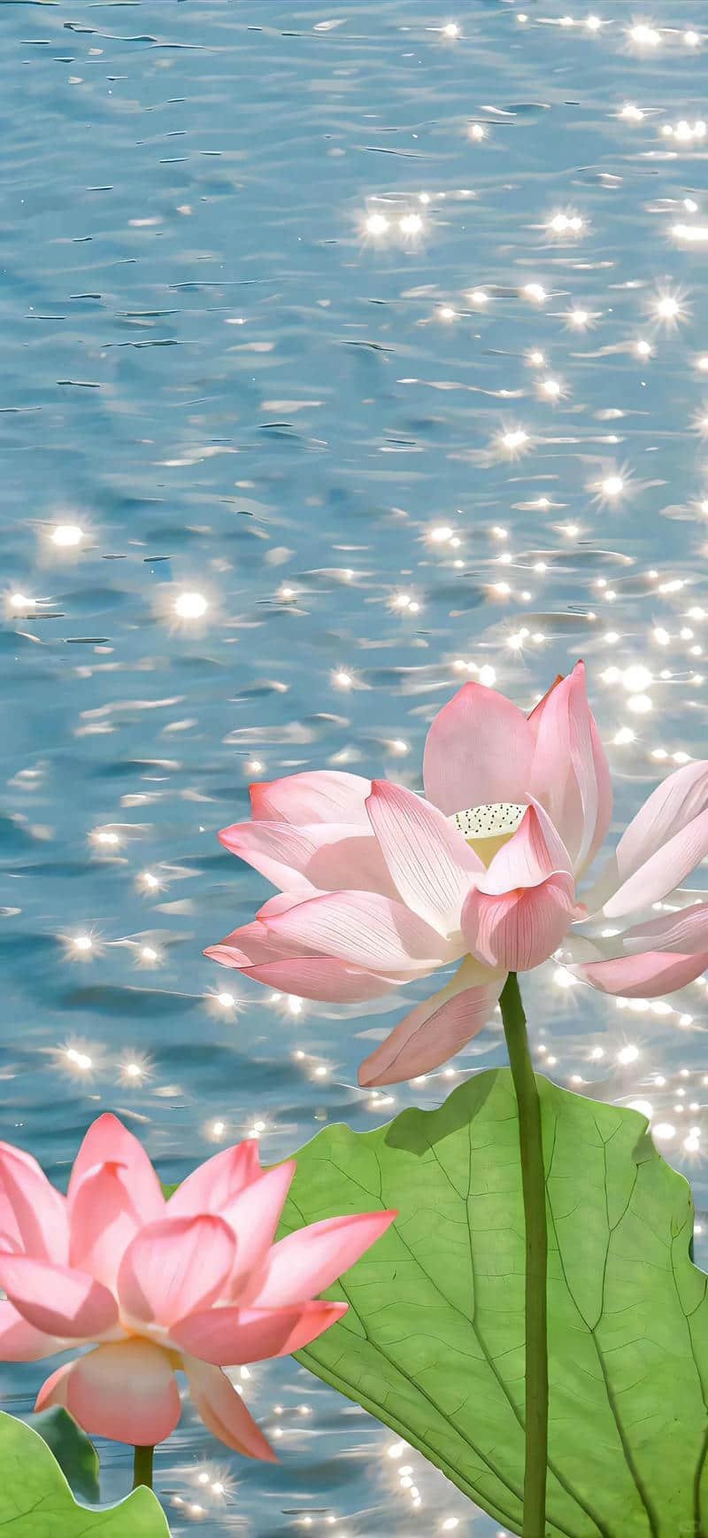 Ảnh hình nền hoa sắc nét