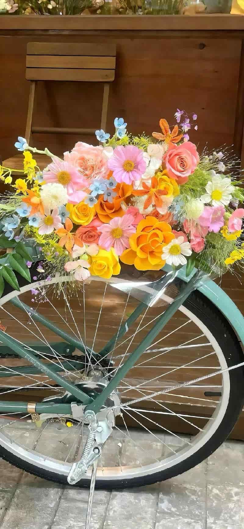 Ảnh hình nền ip 14 sắc nét