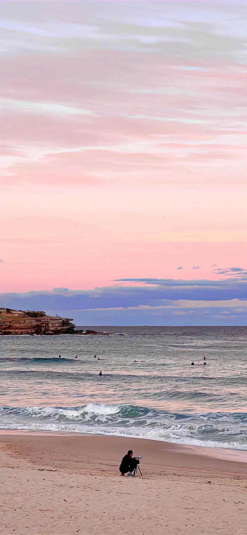 Ảnh hình nền màu hồng sắc nét