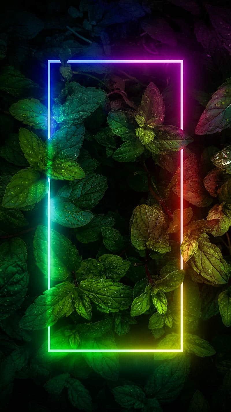 Ảnh hình nền neon sắc nét