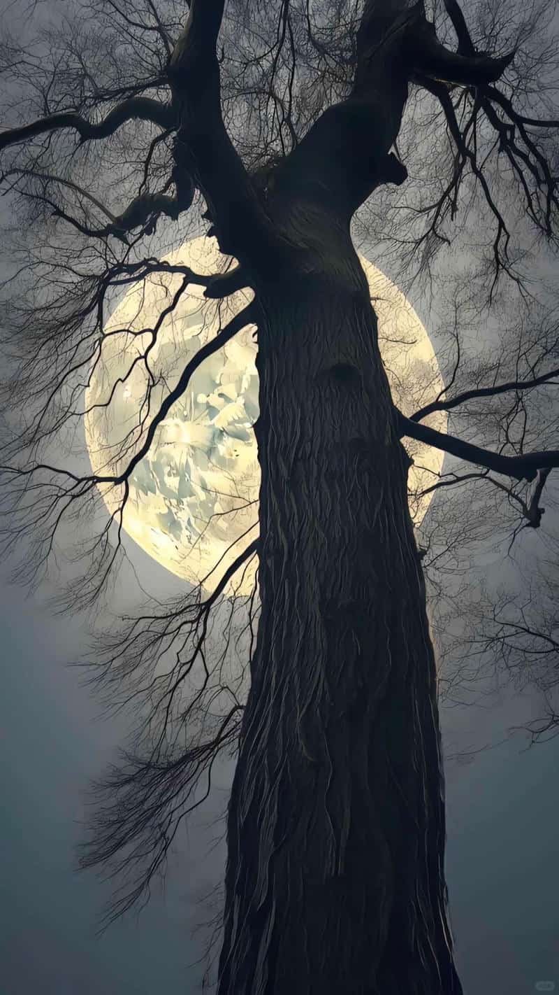 Bộ ảnh hình nền 8k miễn phí