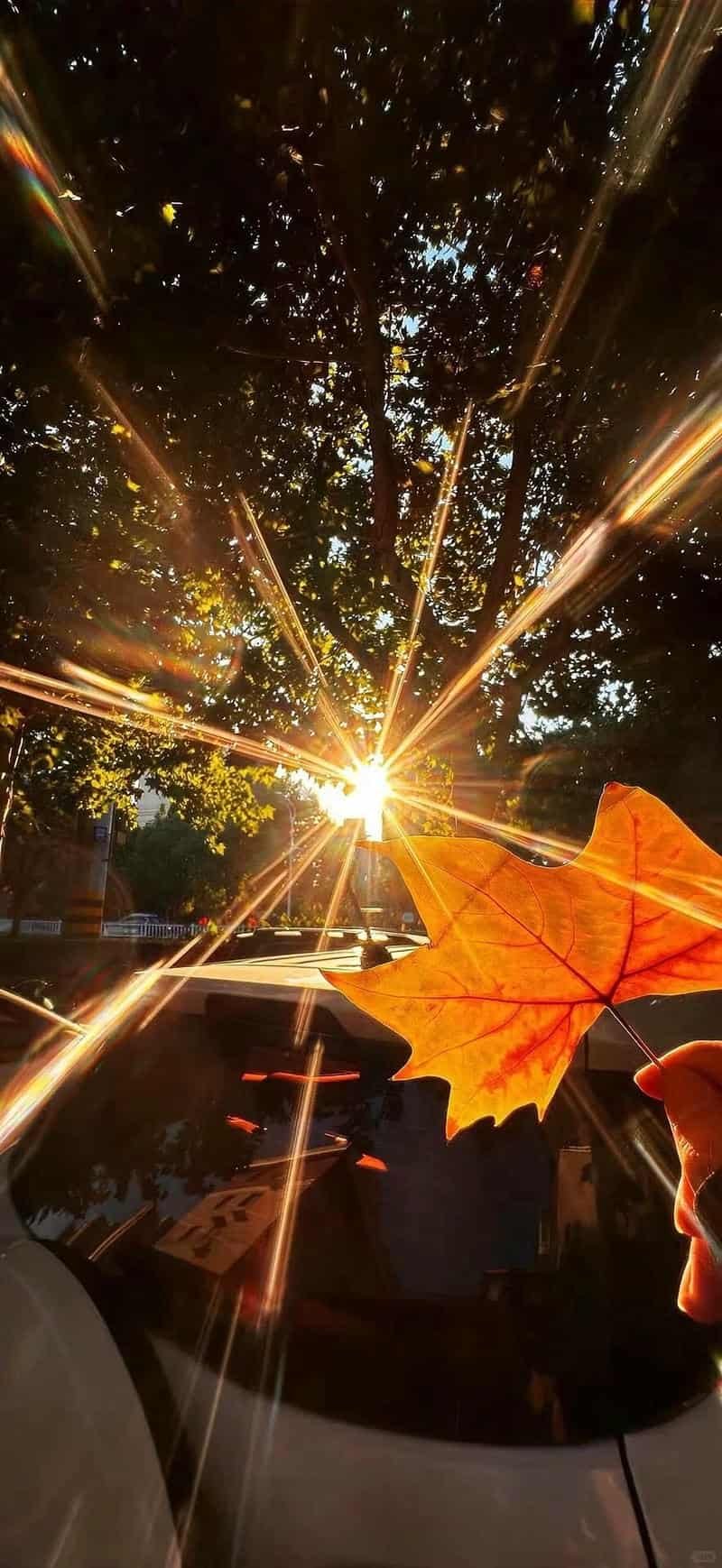 Bộ ảnh hình nền đẹp 3d miễn phí