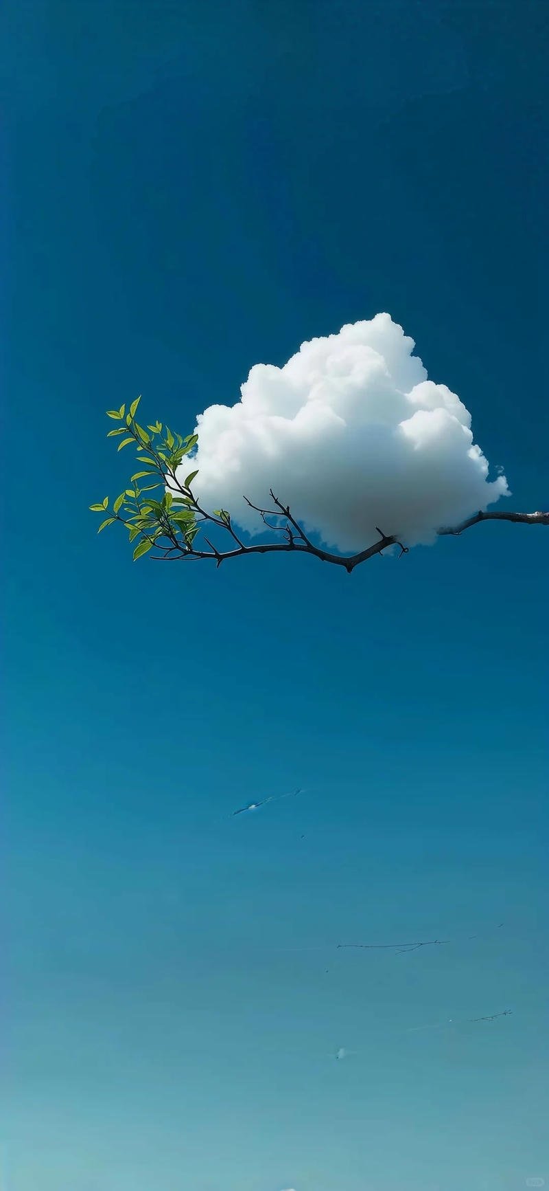 Bộ ảnh hình nền đẹp miễn phí