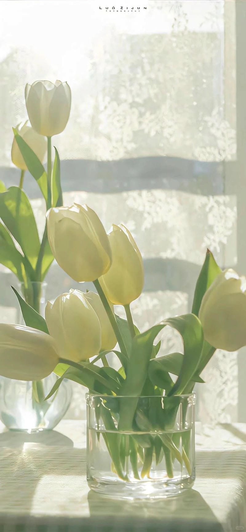 Bộ ảnh hình nền ip 12 miễn phí