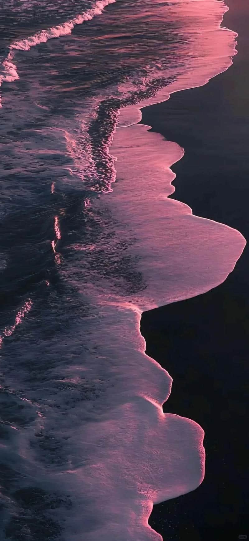 Bộ ảnh hình nền màu hồng sắc nét