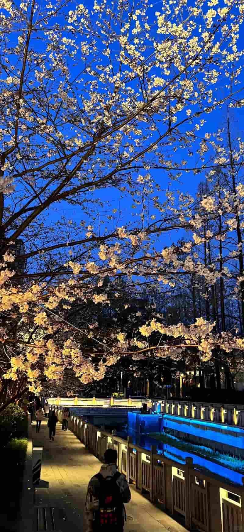 Bộ hình nền đẹp cuốn hút