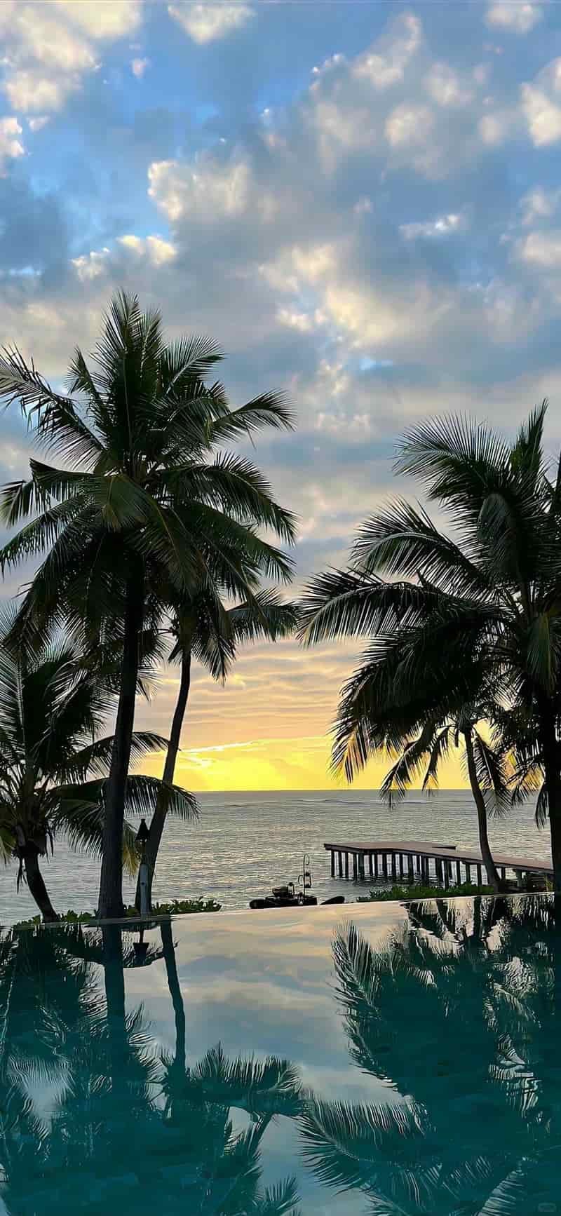 Bộ hình nền iphone 15 sắc nét nhất