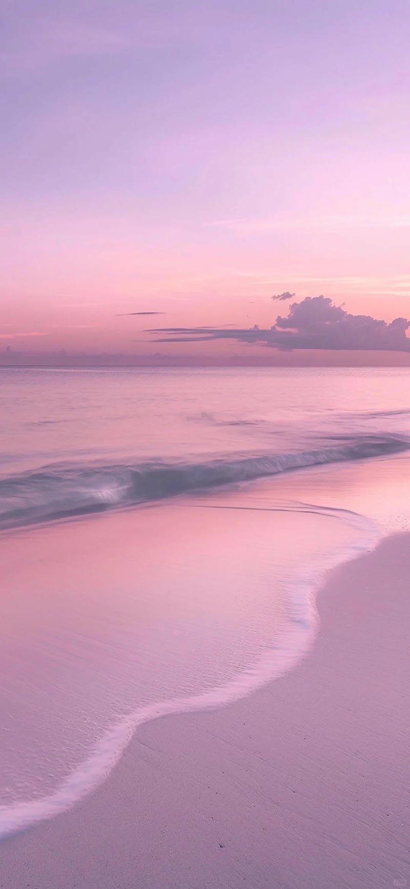 Bộ hình nền màu hồng cuốn hút