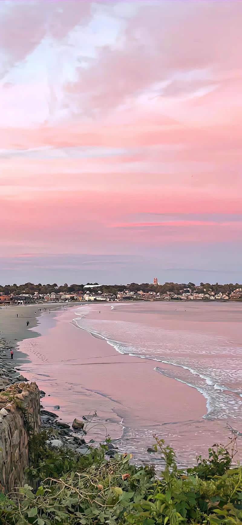 Bộ hình nền màu hồng thu hút