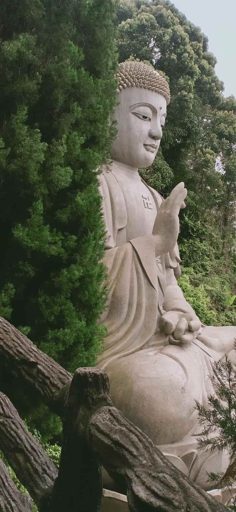 Bộ hình nền phật thu hút