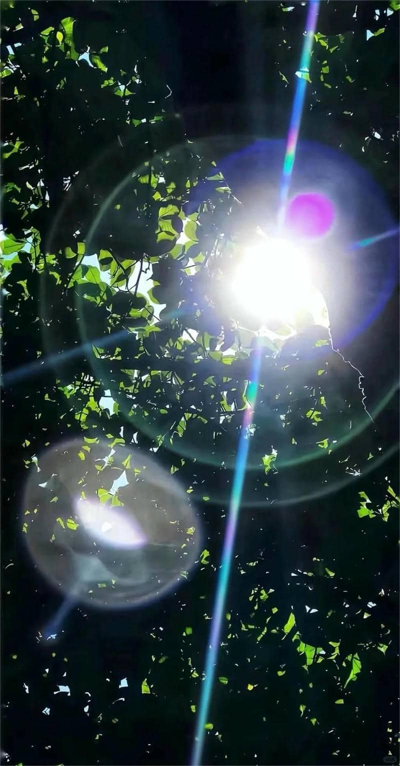 Bộ sưu tập hình nền 8k đẹp