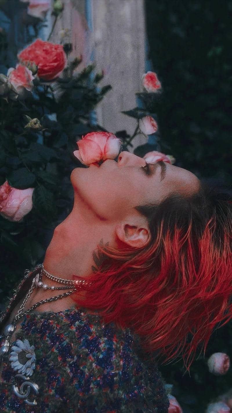 Bộ sưu tập hình nền gdragon miễn phí
