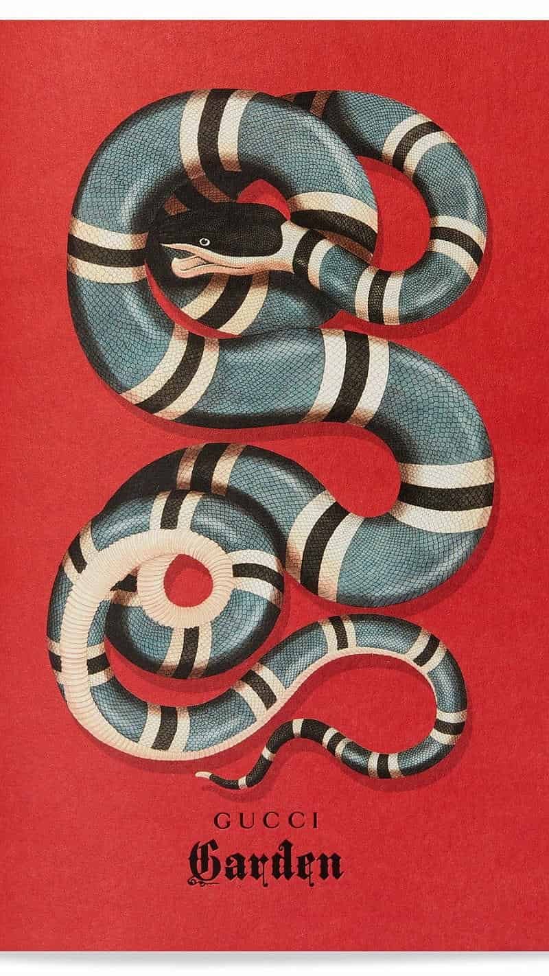 Bộ sưu tập hình nền gucci miễn phí