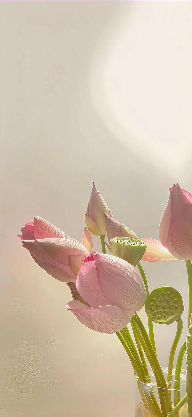 Bộ sưu tập hình nền hoa đẹp nhất