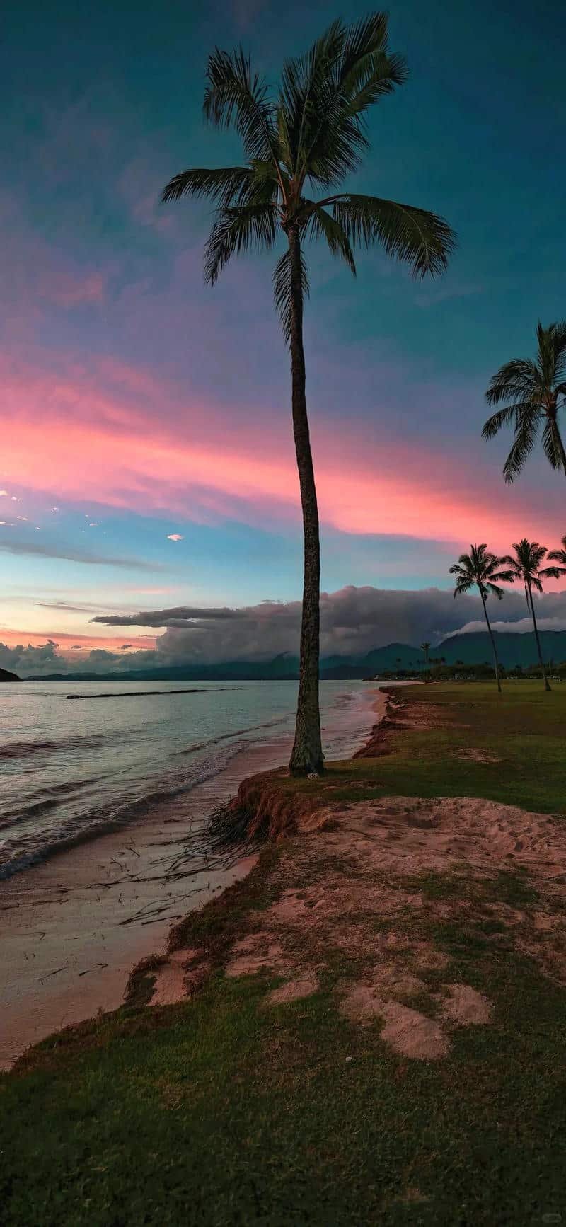 Bộ sưu tập hình nền ip 12 đẹp nhất