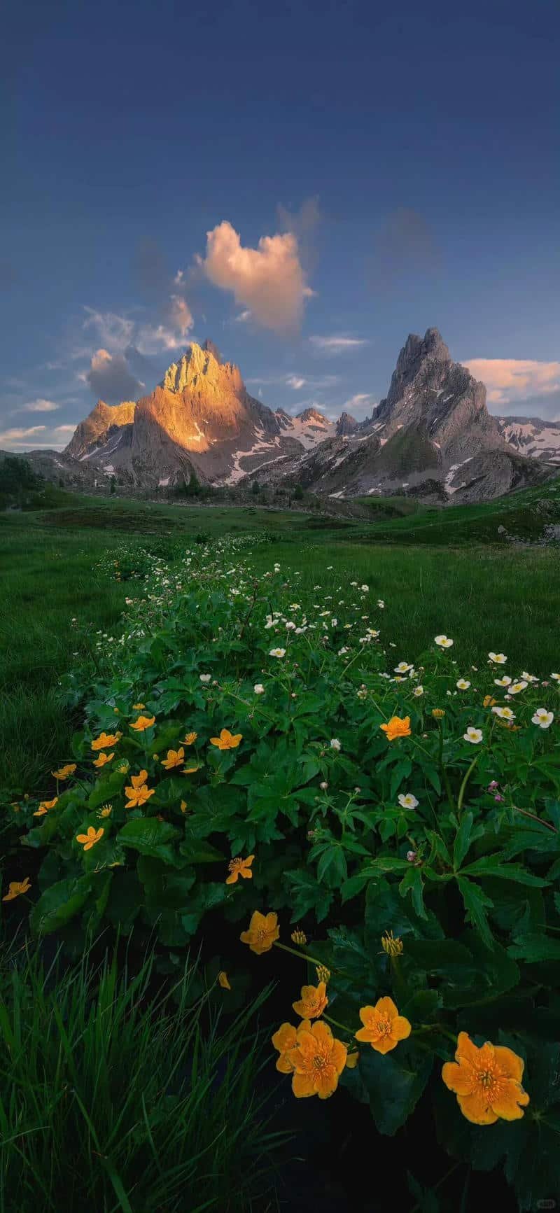 Bộ sưu tập hình nền ip 12 đẹp