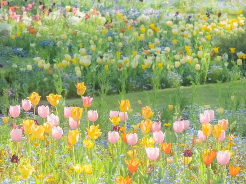 Bộ sưu tập hình nền ipad miễn phí