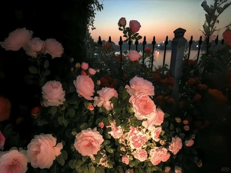 Bộ sưu tập hình nền ipad mới nhất