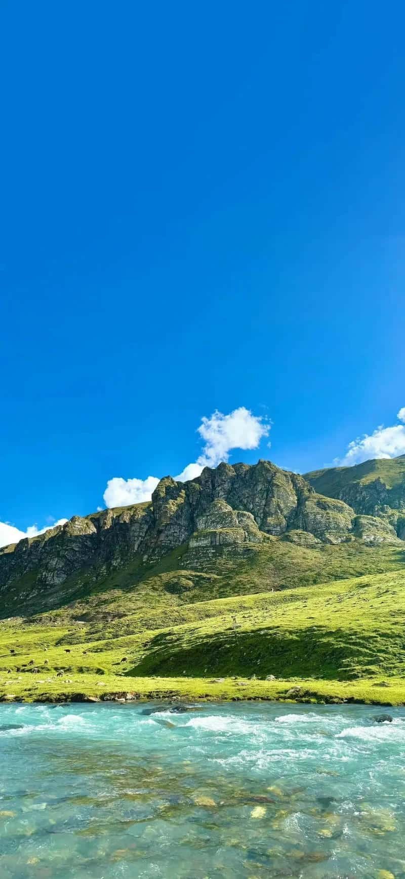 Bộ sưu tập hình nền iphone 15 miễn phí