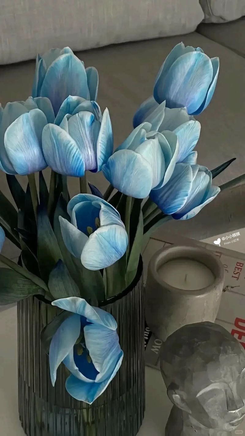 Bộ sưu tập hình nền màu xanh đẹp nhất