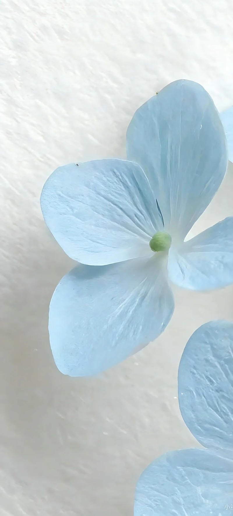 Bộ sưu tập hình nền màu xanh miễn phí