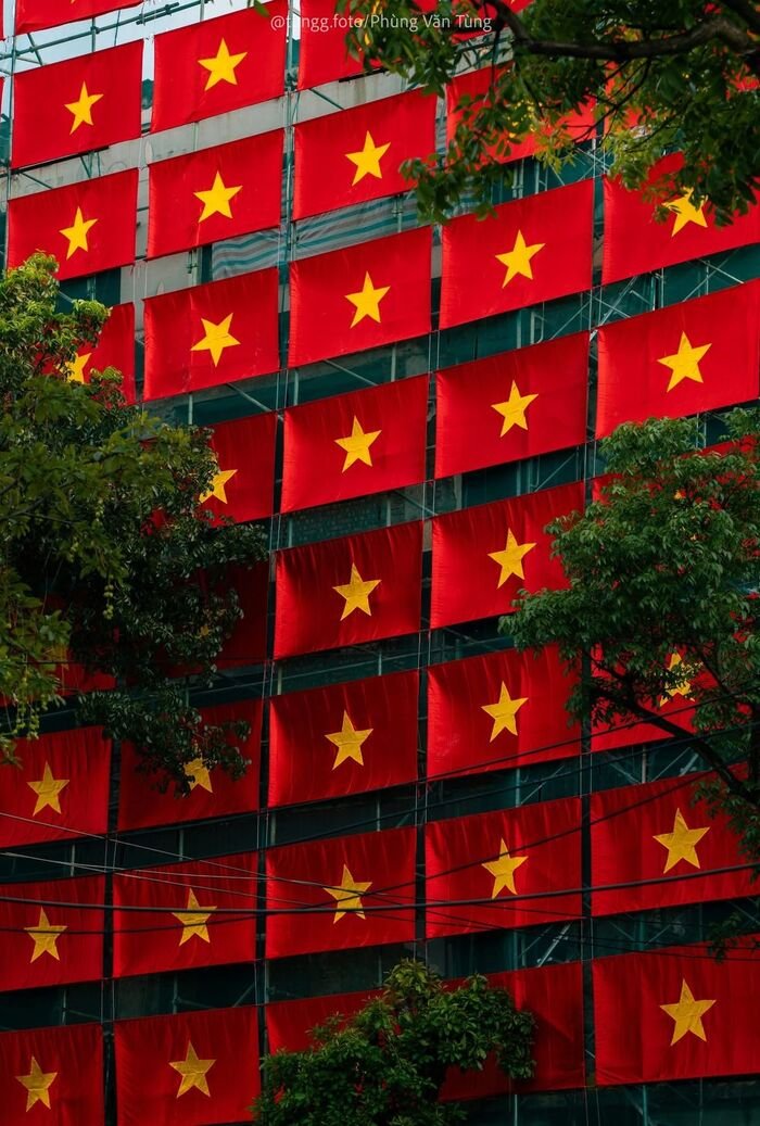 Hình nền Việt Nam chất lượng cao