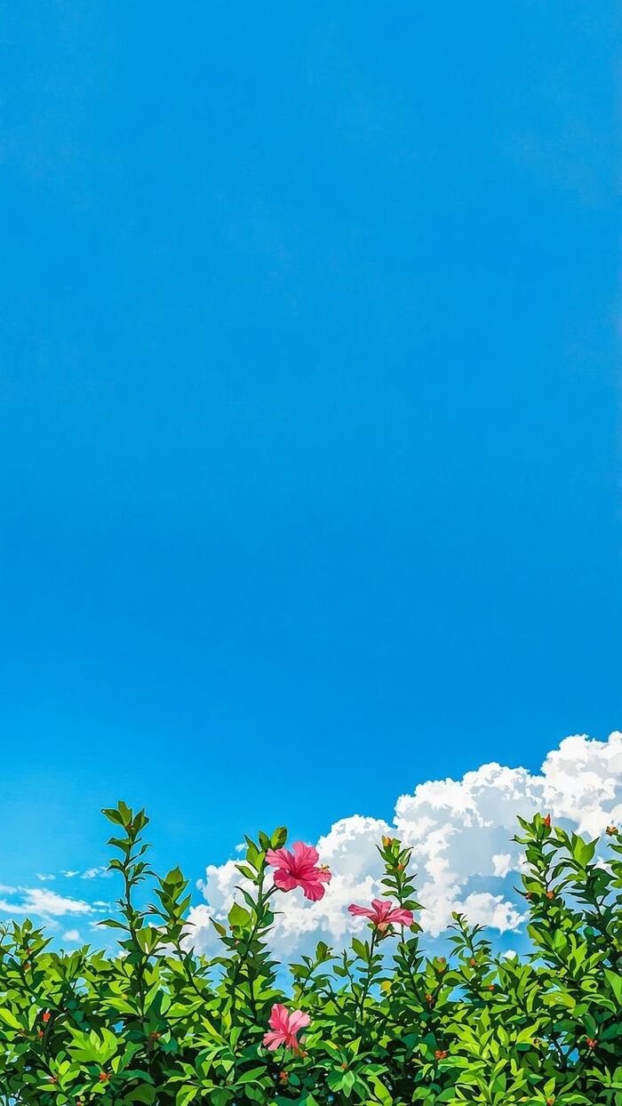 Hình nền bầu trời biển hoạt hình