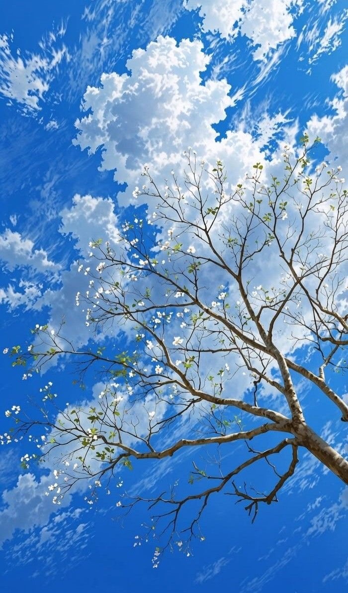 Hình nền bầu trời đầy mây xanh