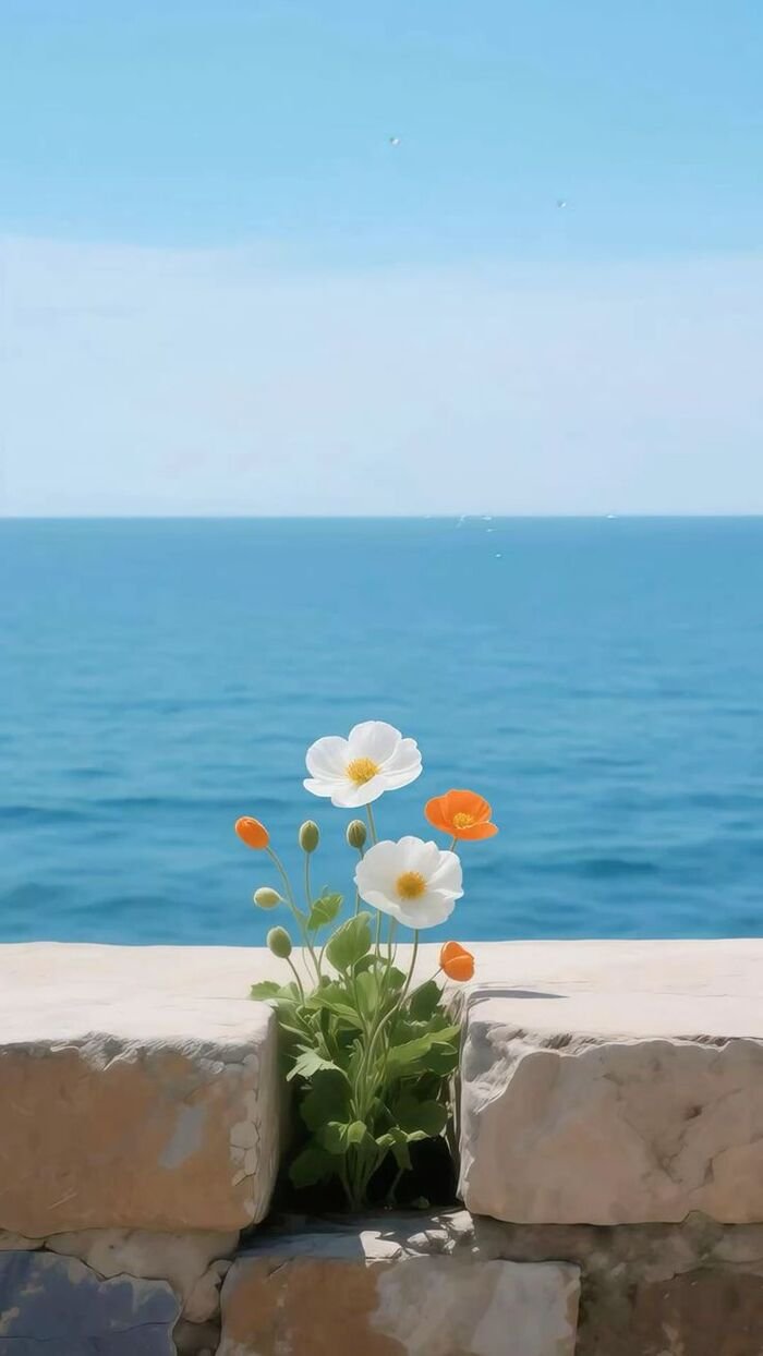 Hình nền may mắn full HD