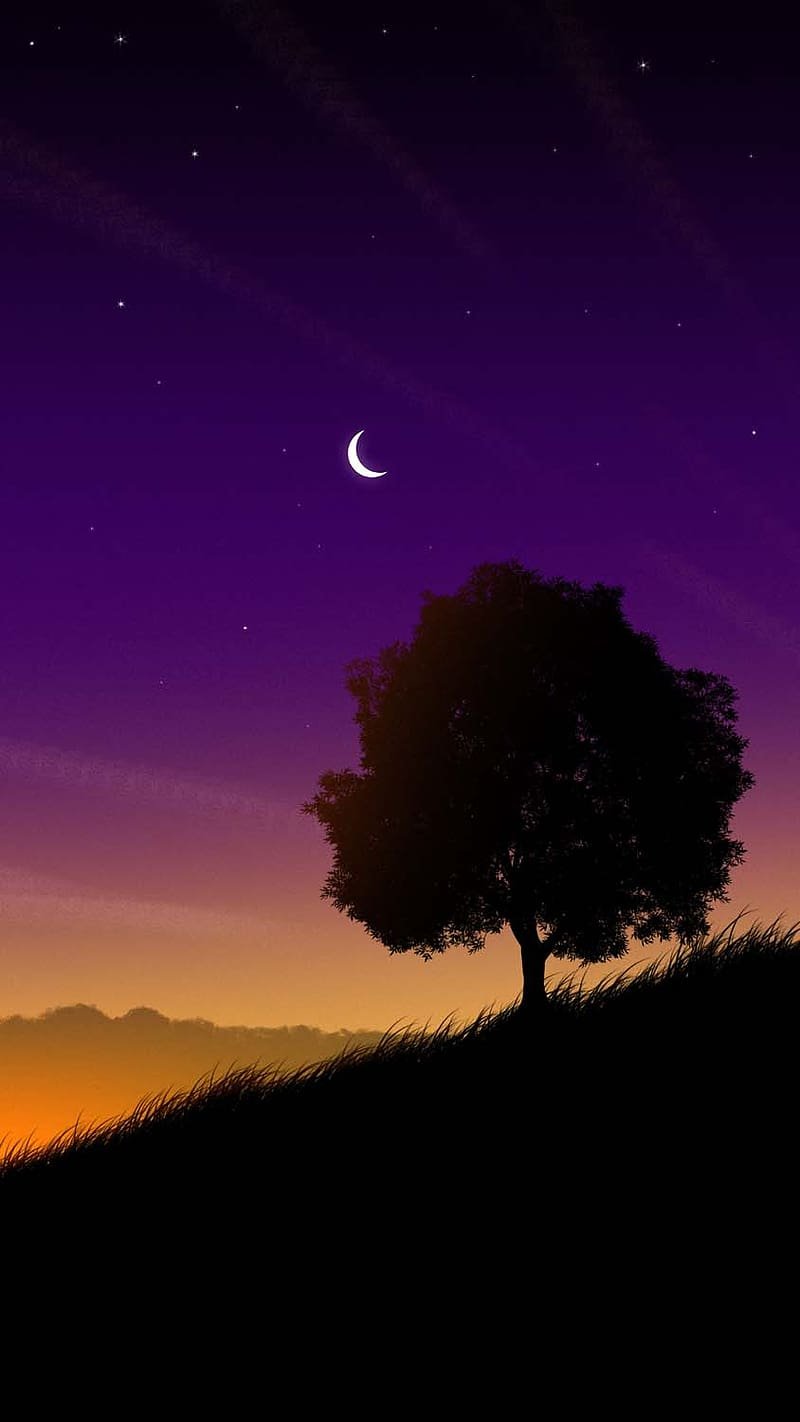 Khám phá hình nền chill đẹp