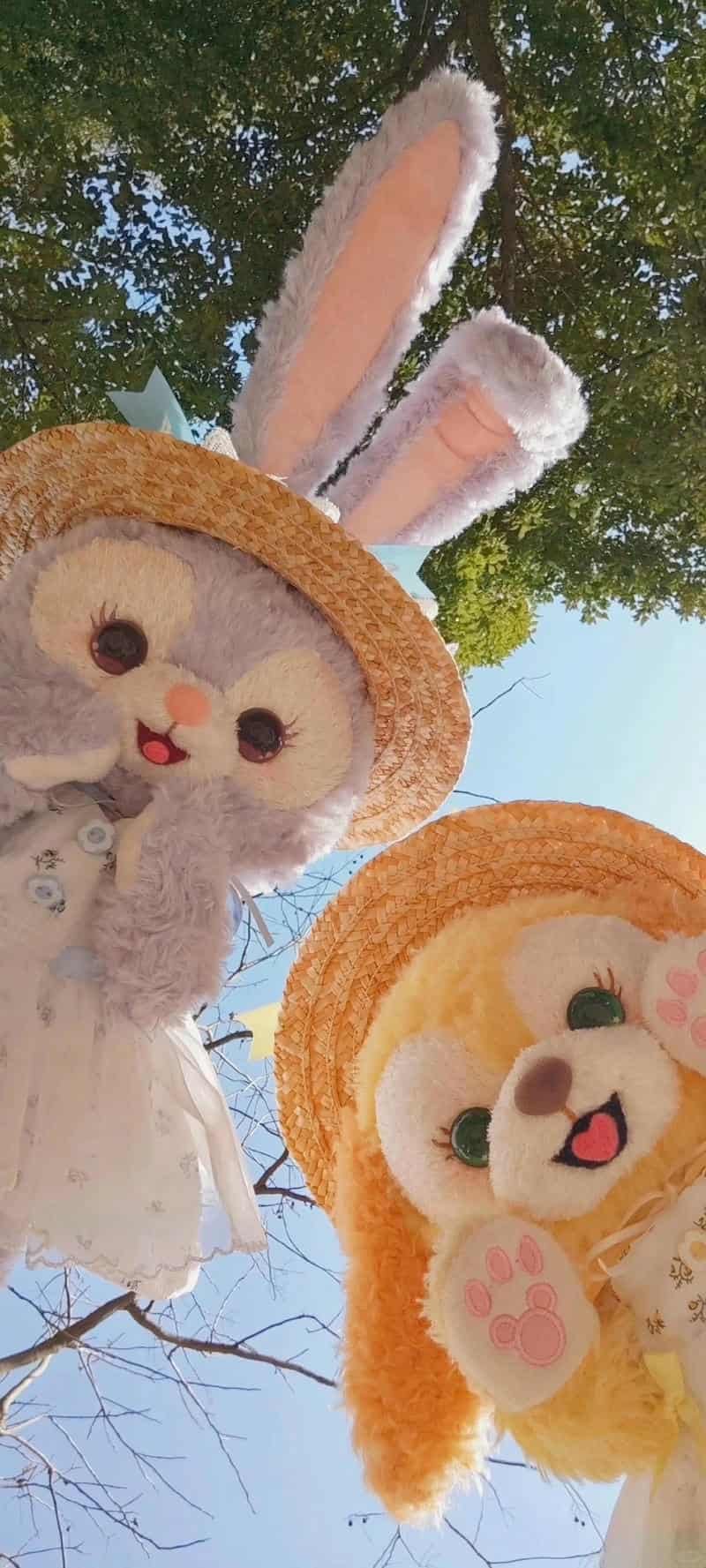 Khám phá hình nền đẹp cute đẹp