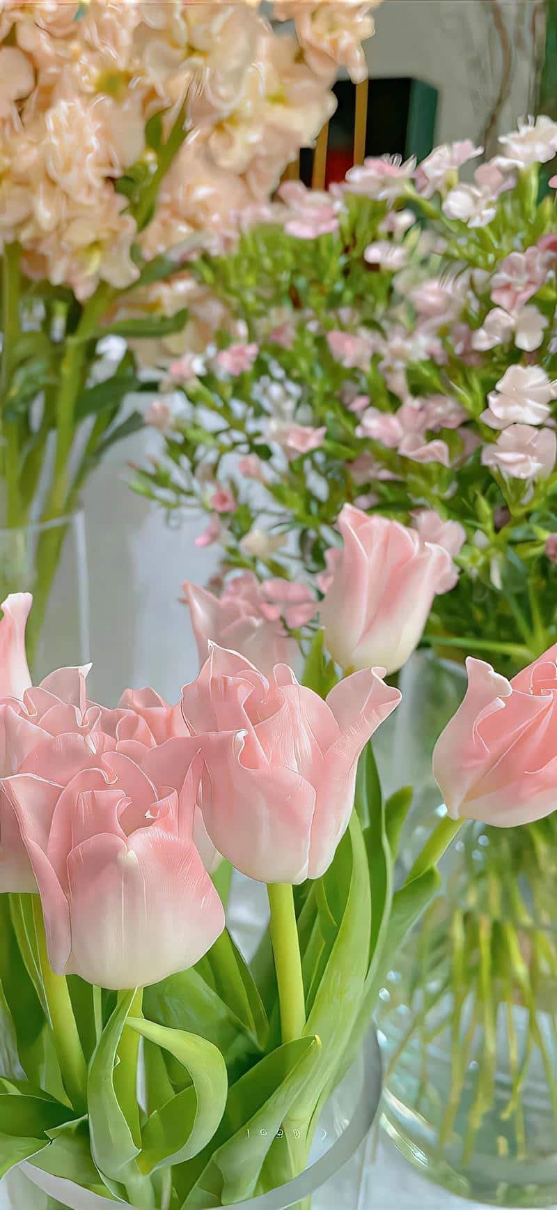 Khám phá hình nền hoa đẹp