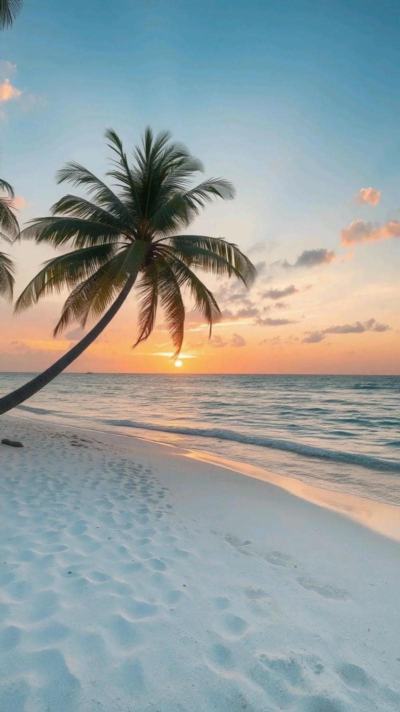 Khám phá hình nền ip 12 đẹp