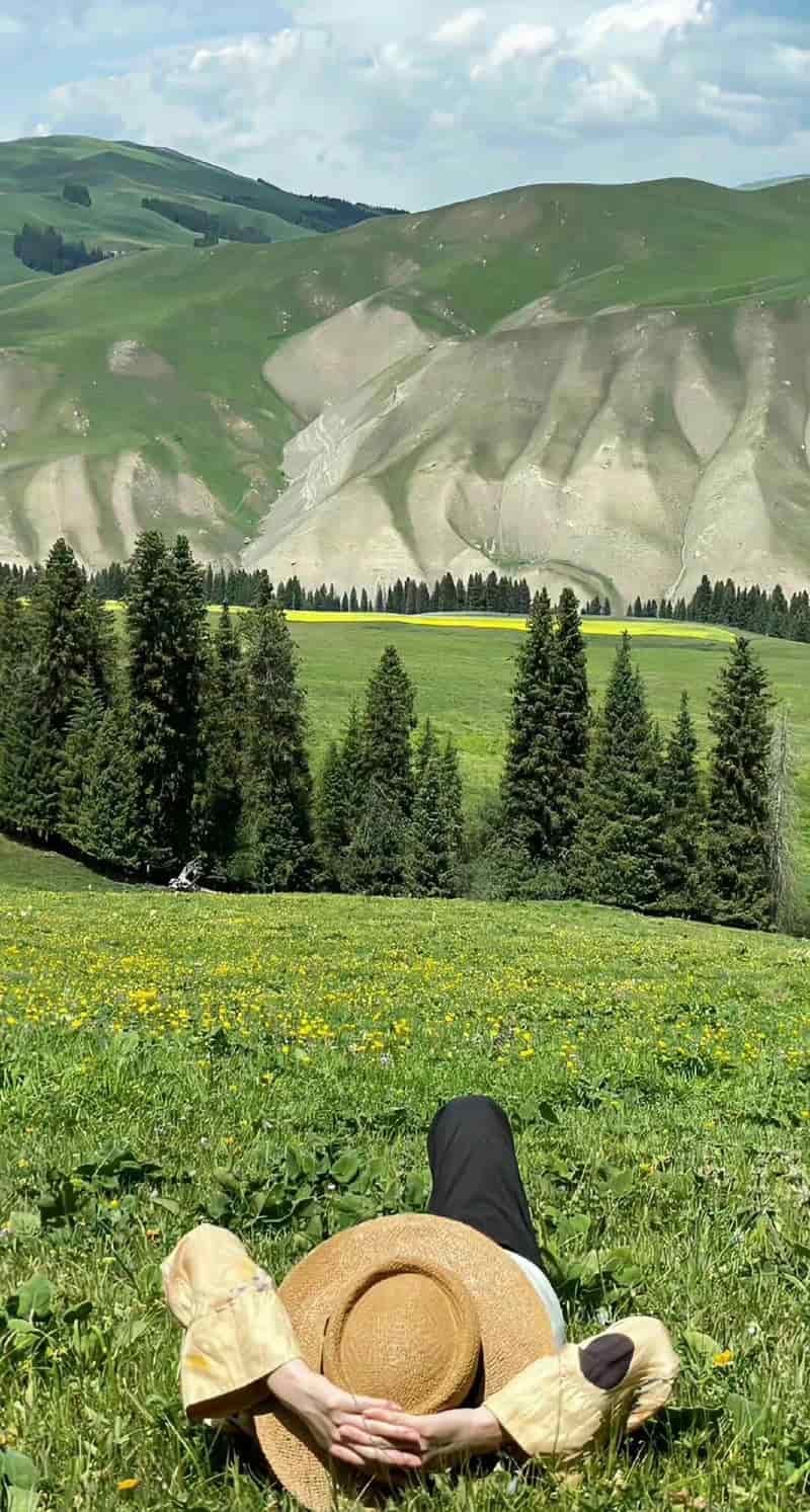 Khám phá hình nền ip 14 cuốn hút