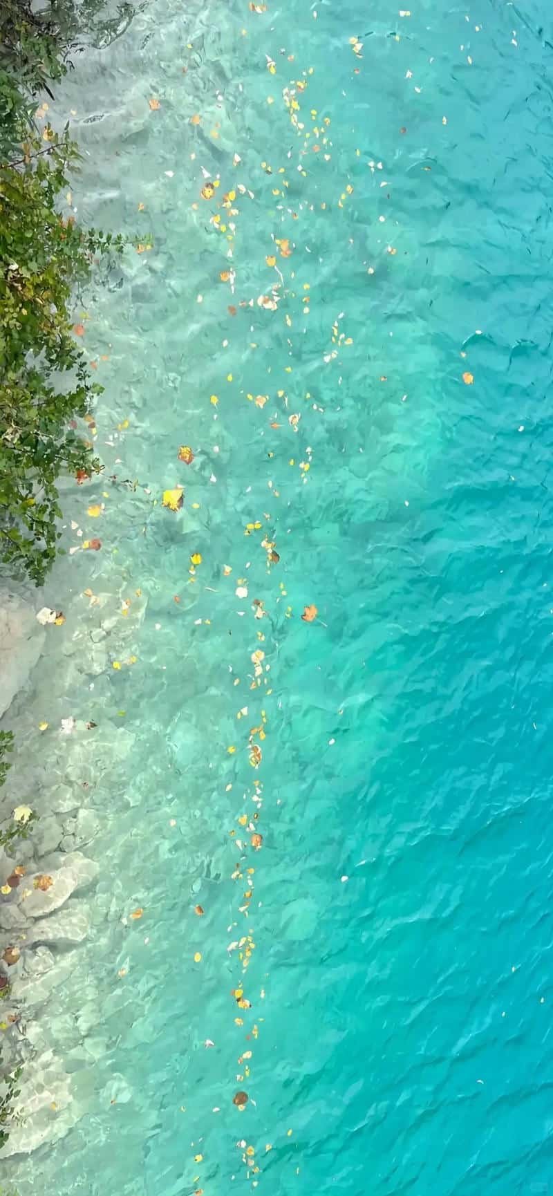 Khám phá hình nền màu xanh cuốn hút