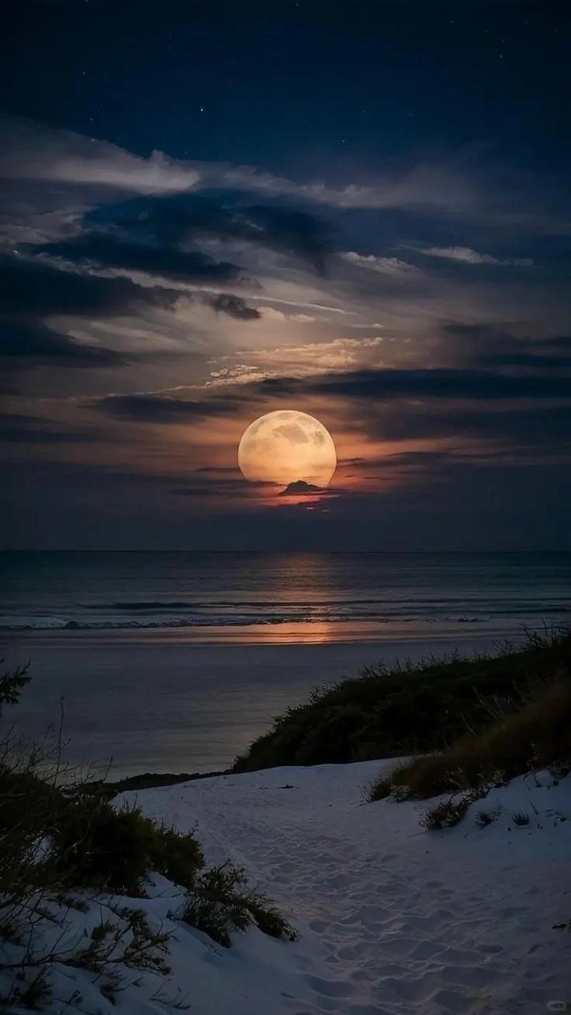 Khám phá kho hình nền đẹp mới nhất