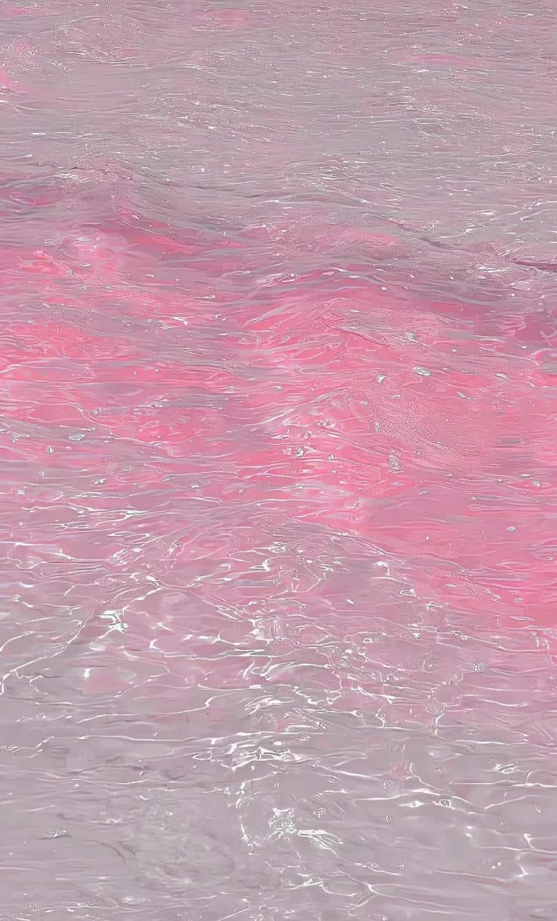 Khám phá kho hình nền màu hồng mới nhất