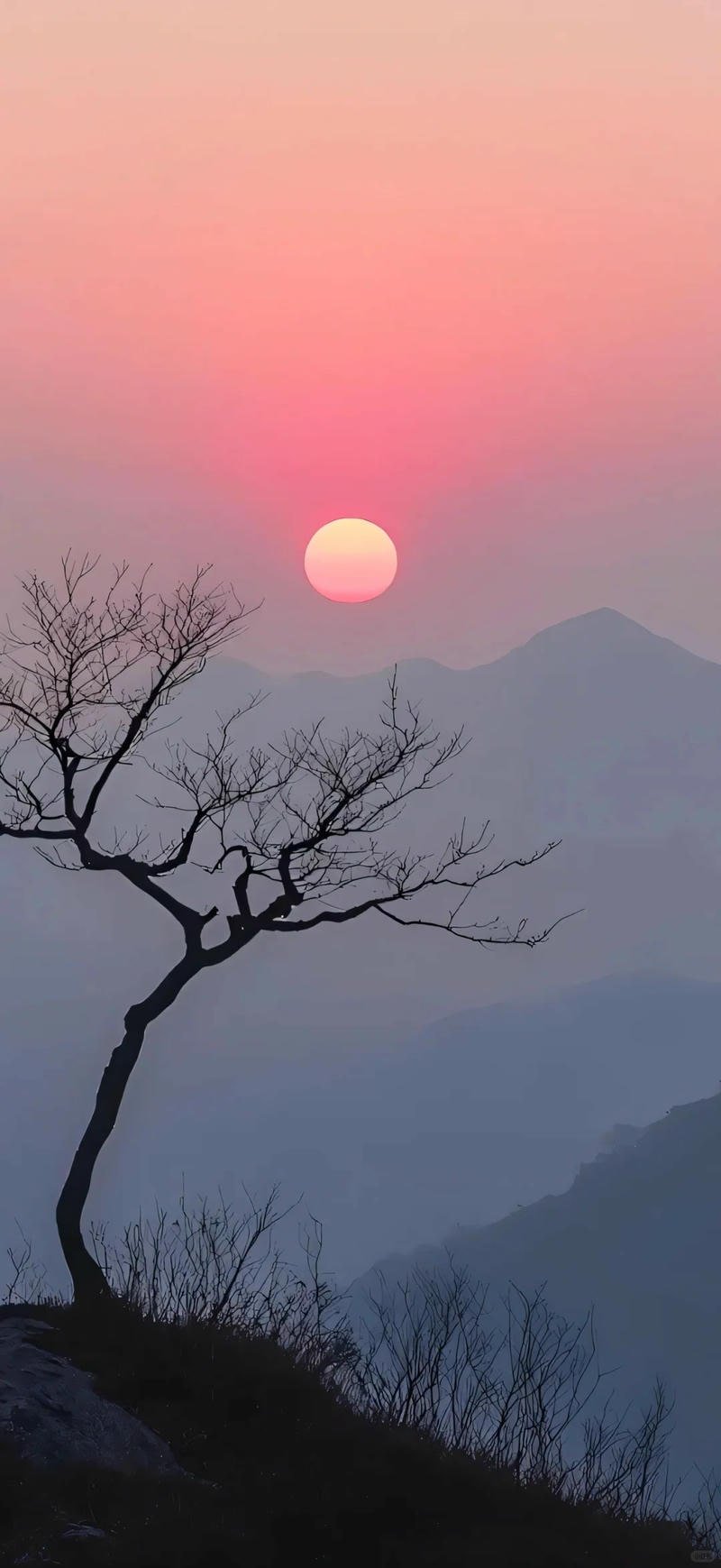 Kho ảnh hình nền iphone 15 miễn phí