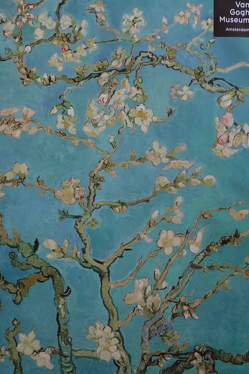 Kho ảnh hình nền van gogh miễn phí