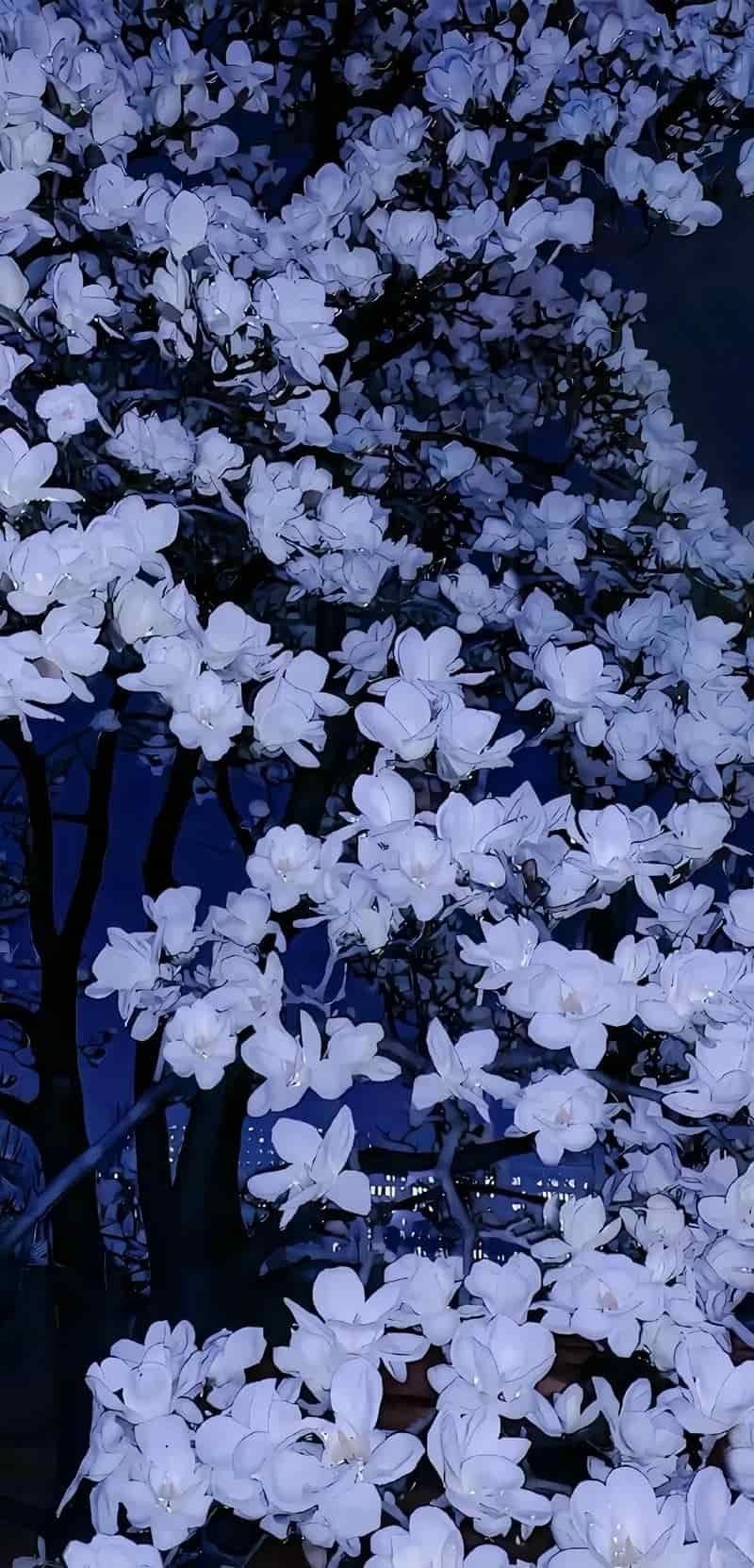 Kho hình nền hoa chất lượng