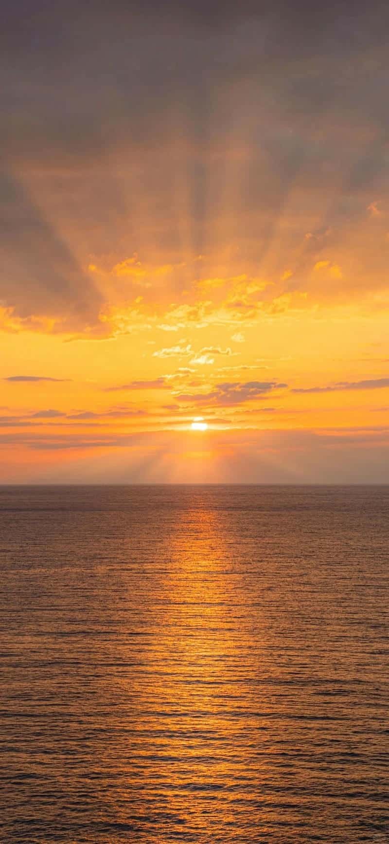 Loạt hình nền bình minh chất lượng nhất