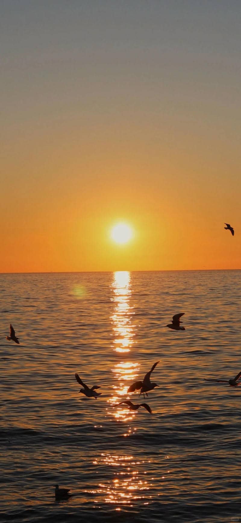 Loạt hình nền bình minh cuốn hút