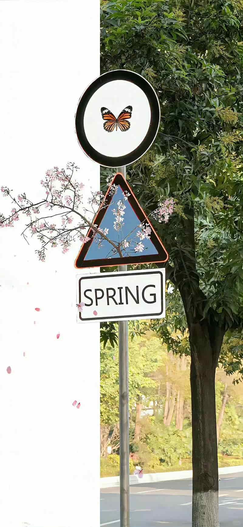 Loạt hình nền đẹp độc quyền