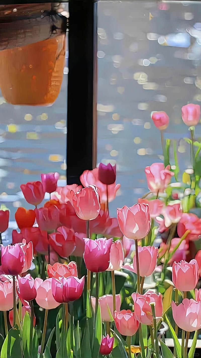 Loạt hình nền hoa chất lượng