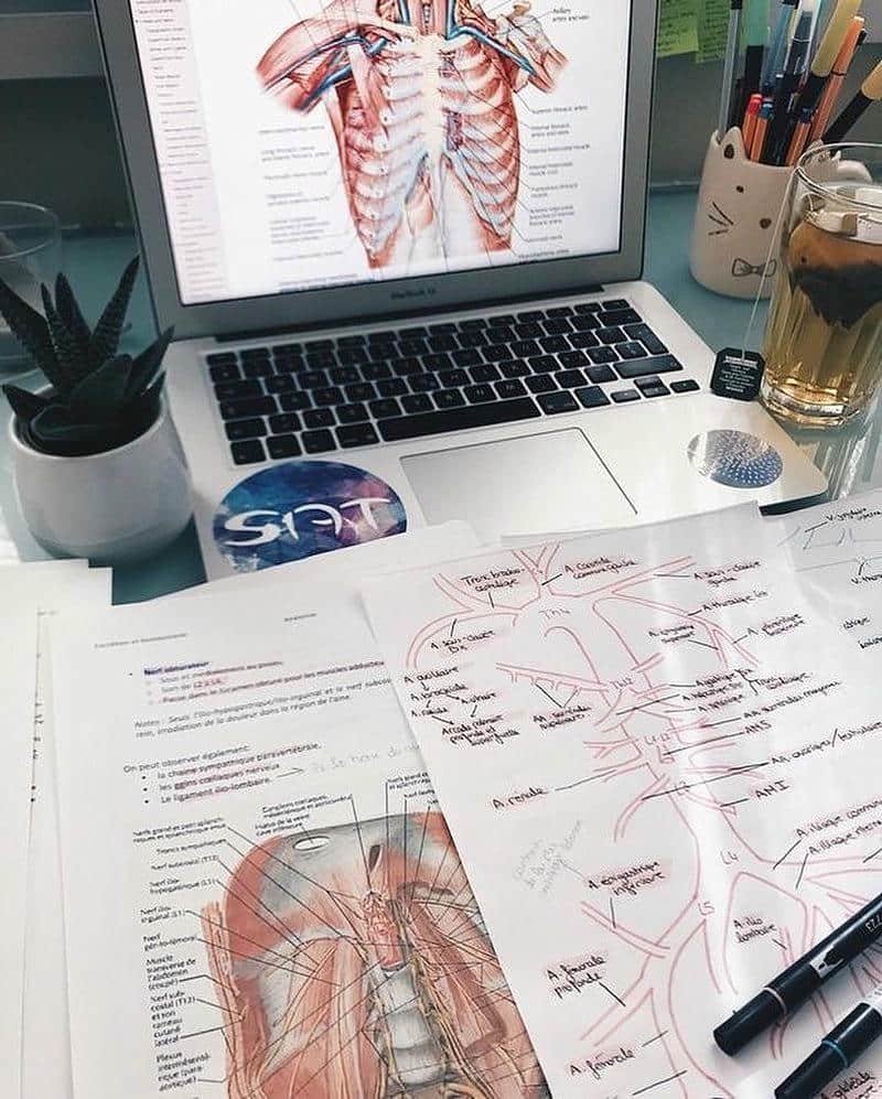 Loạt hình nền học tập chất lượng